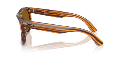 Ray-Ban Wayfarer Reverse RBR0502S