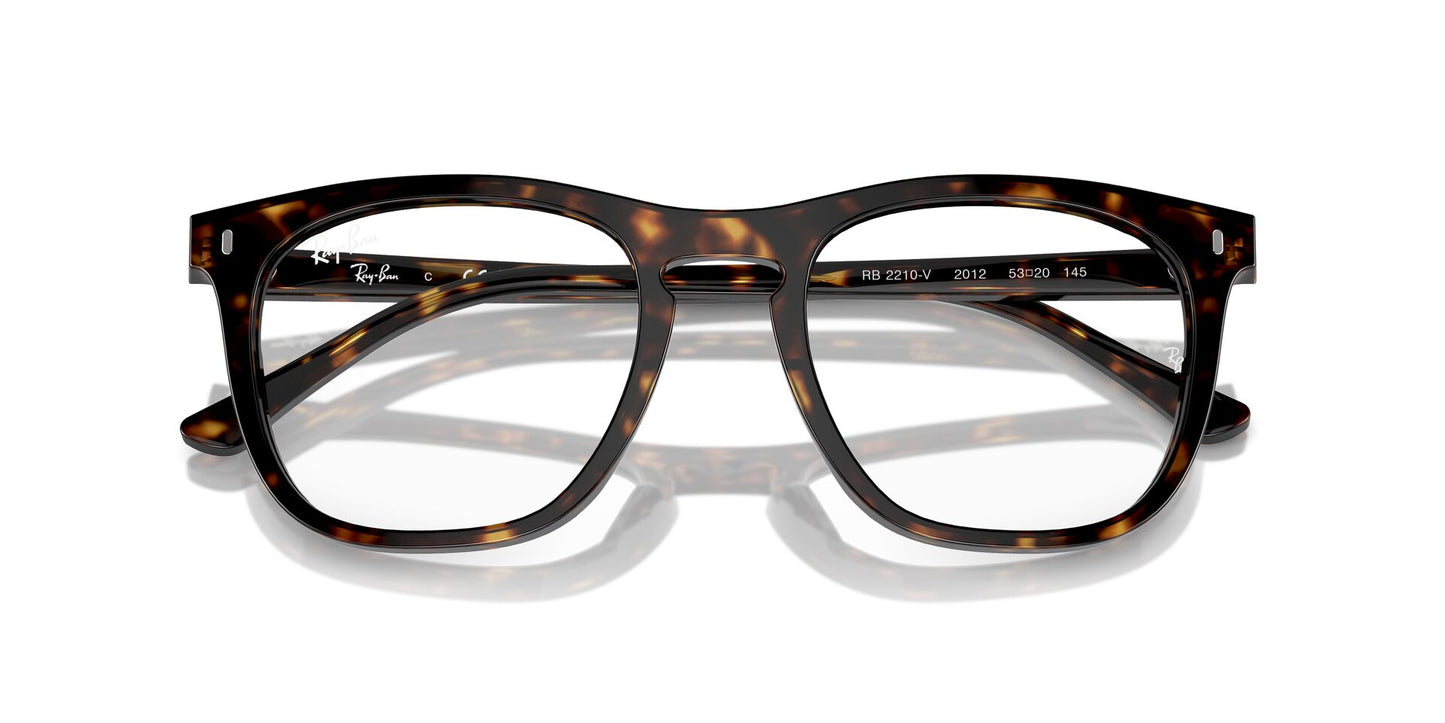 Ray-Ban RB2210V