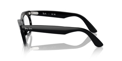 Ray-Ban Wayfarer Oval RB2242V