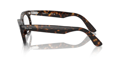 Ray-Ban Wayfarer Oval RB2242V