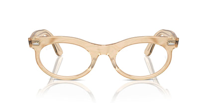 Ray-Ban Wayfarer Oval RB2242V