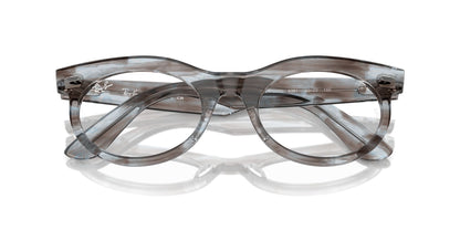 Ray-Ban Wayfarer Oval RB2242V