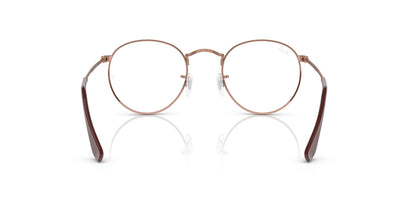 Ray-Ban RB3447V