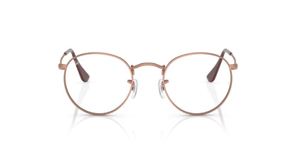 Ray-Ban RB3447V