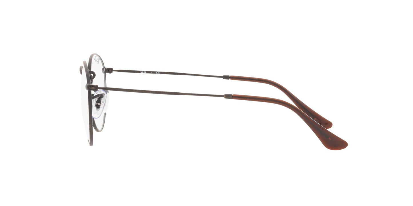 Ray-Ban RB3447V