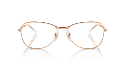 Ray-Ban RB3733V