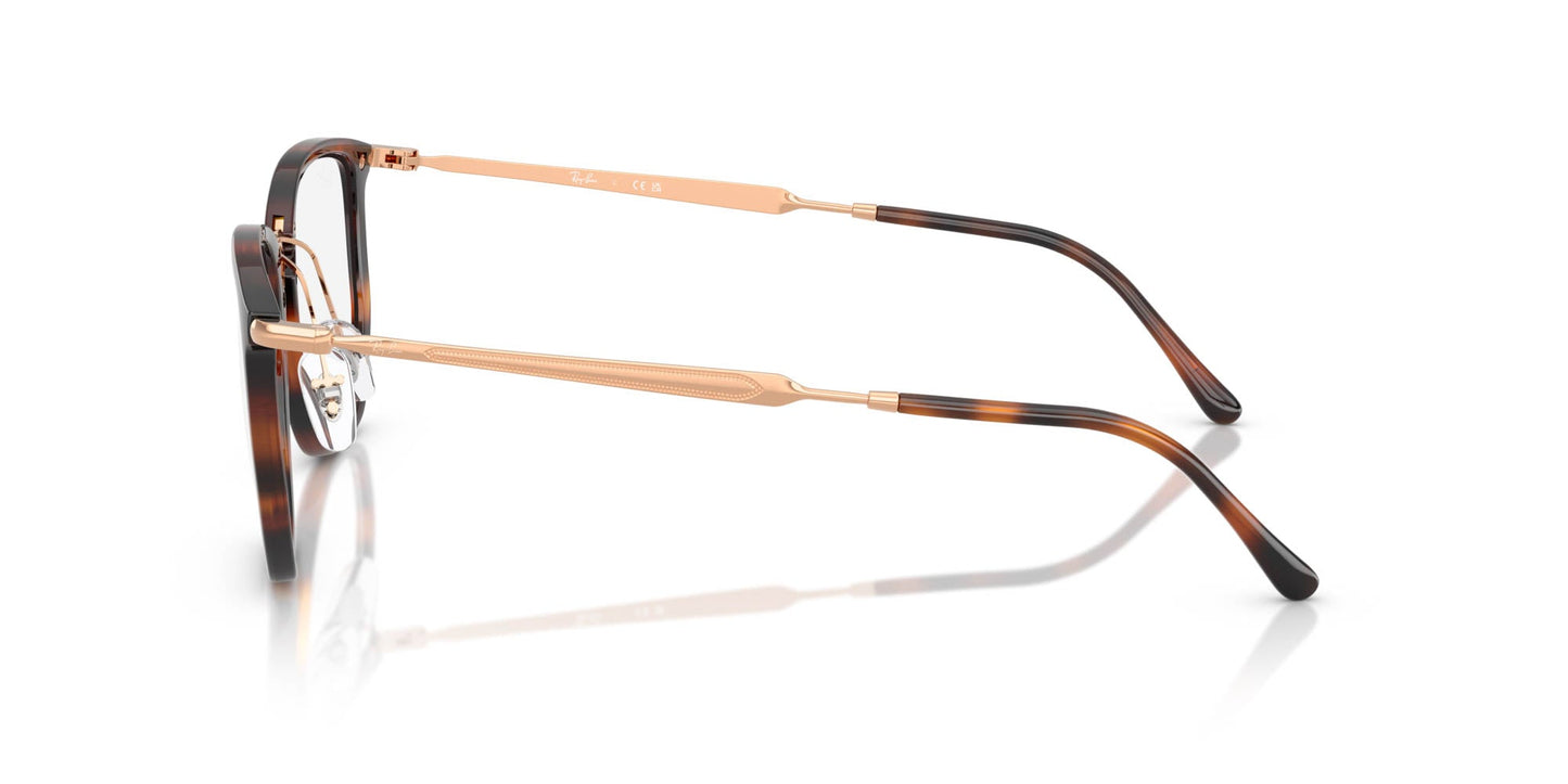 Ray-Ban RB4451V