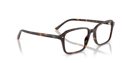 Ray-Ban Raimond RB5431