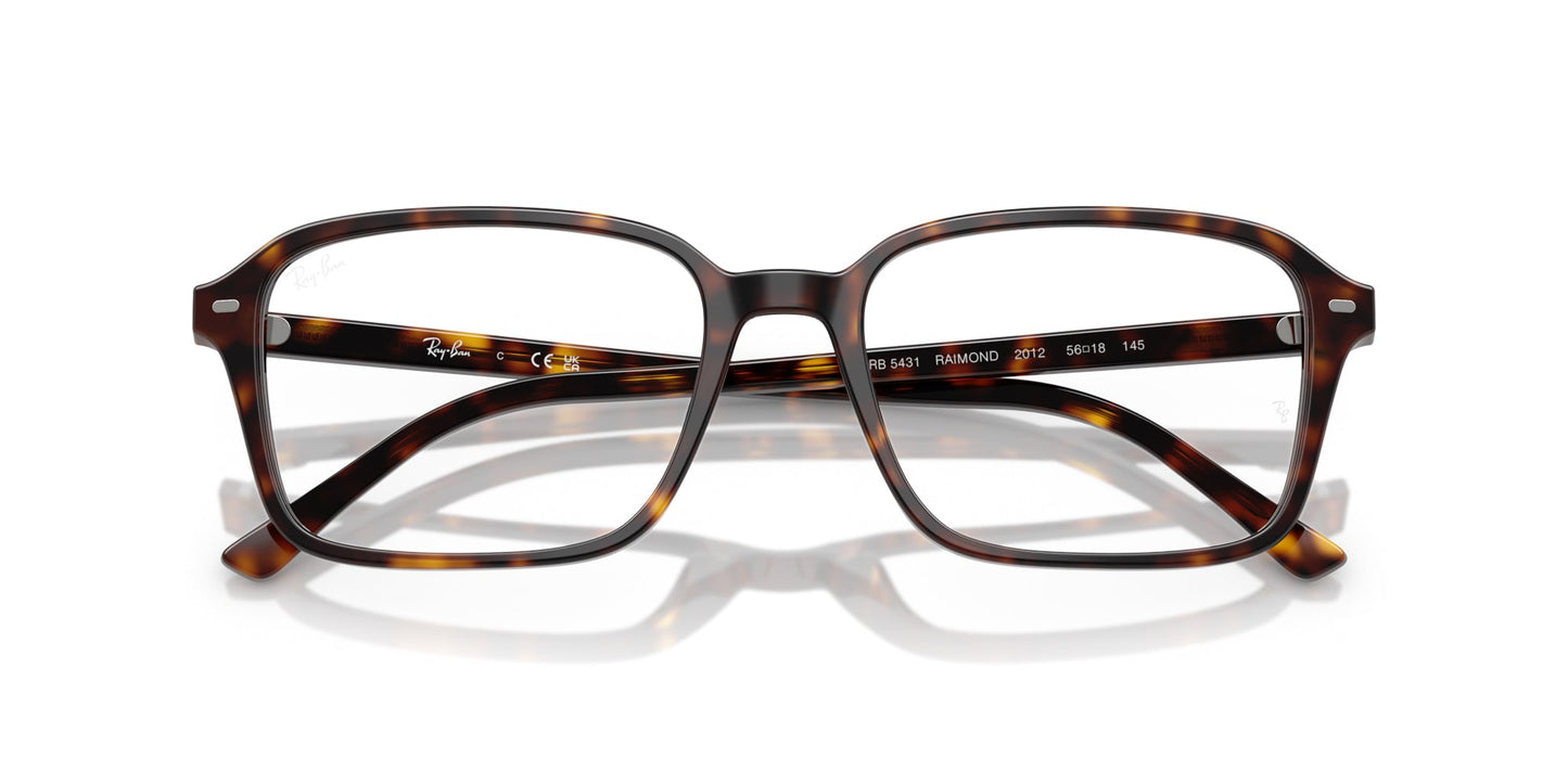 Ray-Ban Raimond RB5431