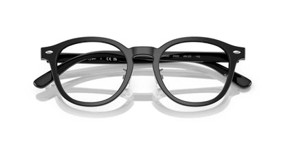 Ray-Ban RB5443D