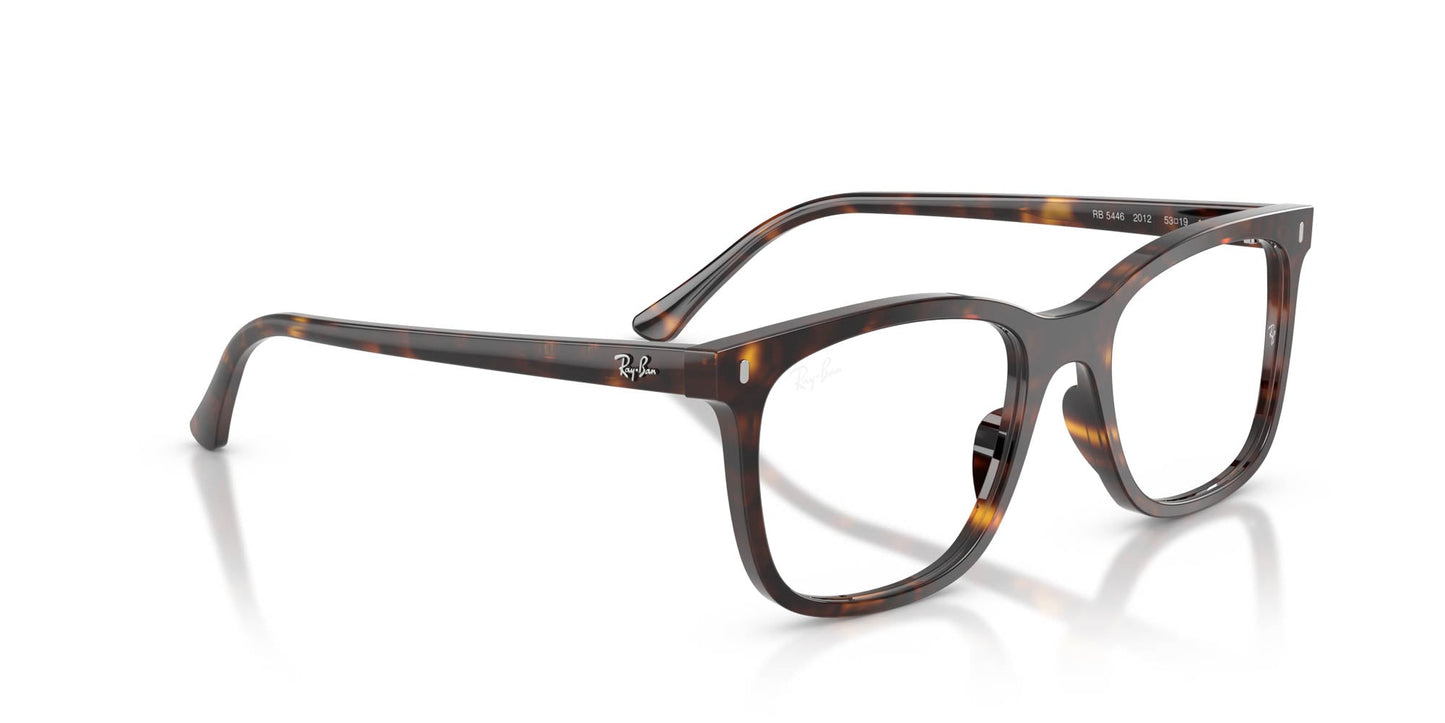 Ray-Ban RB5446