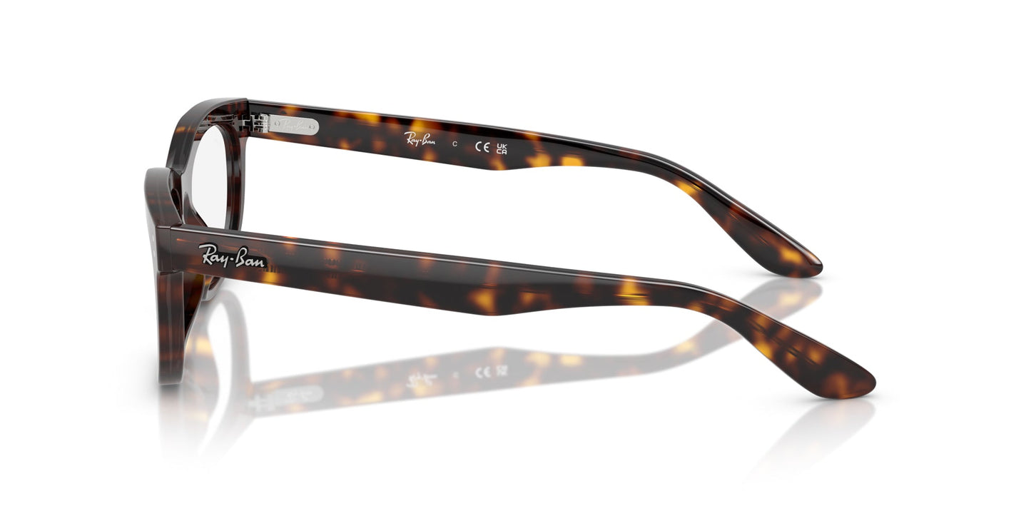 Ray-Ban Balorette RB5489