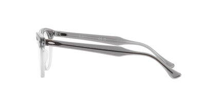 Ray-Ban Eagleeye RB5598