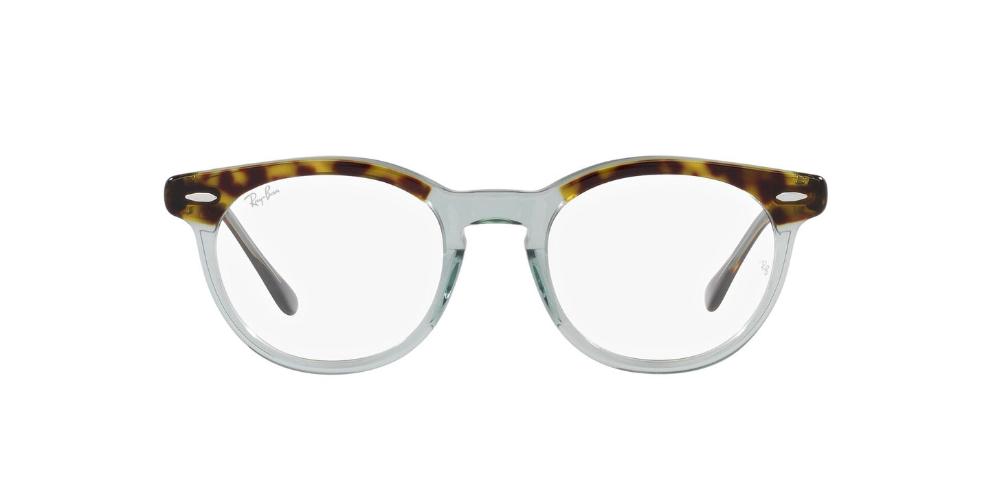 Ray-Ban Eagleeye RB5598