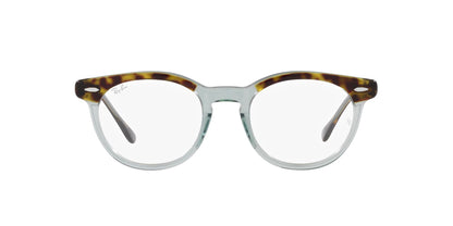 Ray-Ban Eagleeye RB5598