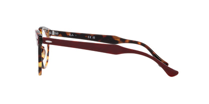 Ray-Ban Eagleeye RB5598