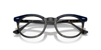 Ray-Ban Eagleeye RB5598