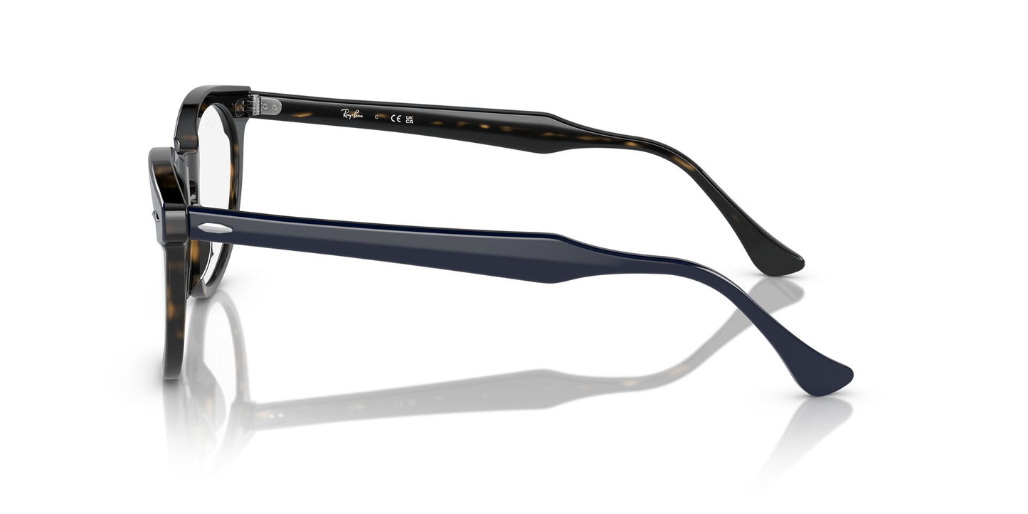 Ray-Ban Eagleeye RB5598