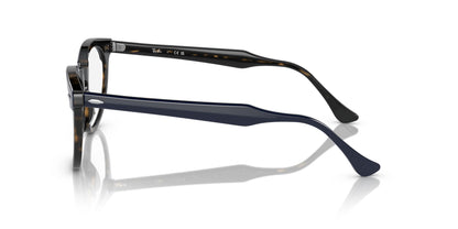 Ray-Ban Eagleeye RB5598