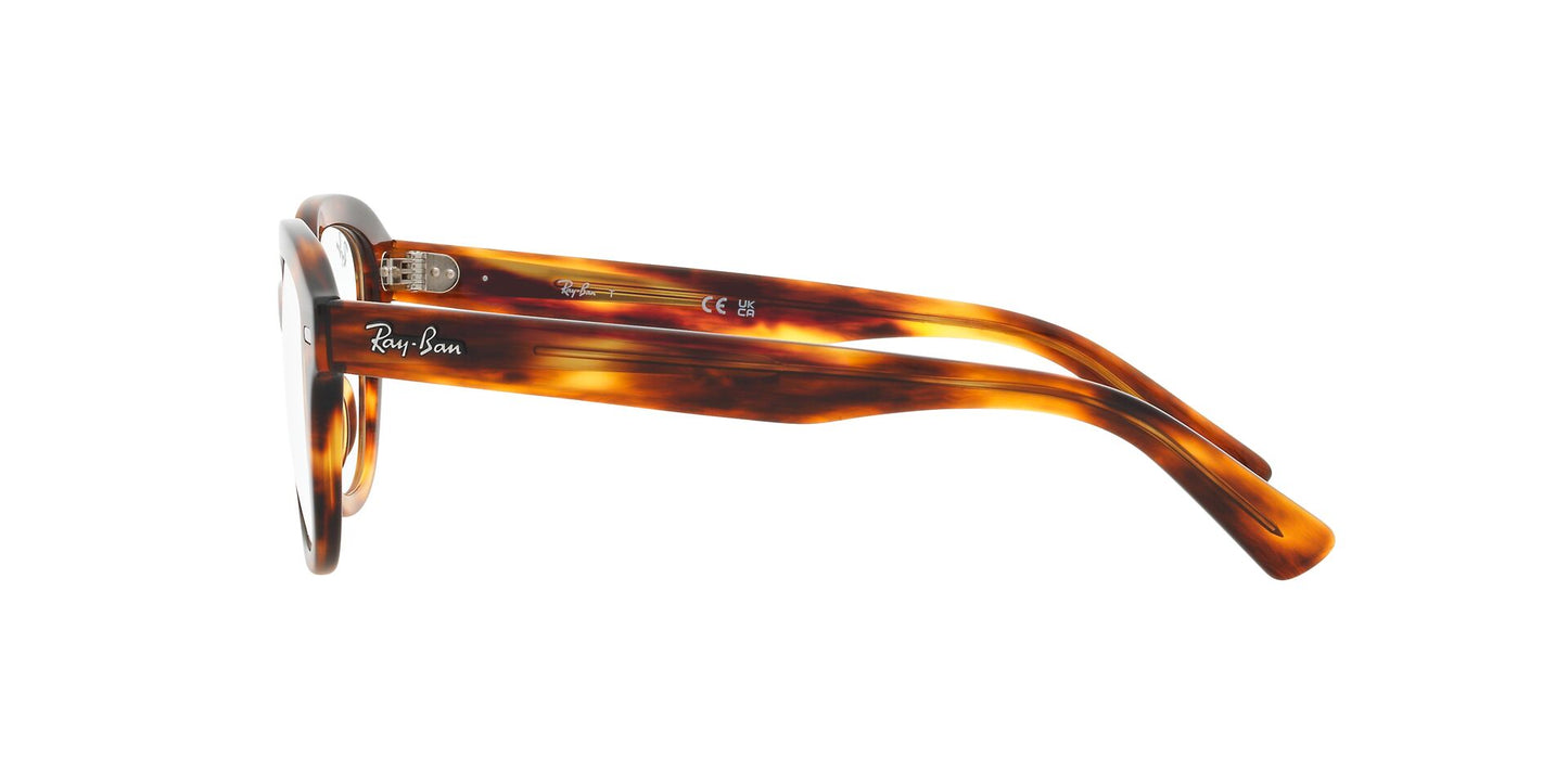 Ray-Ban Erik RB7215