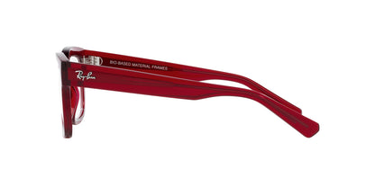 Ray-Ban Chad RB7217