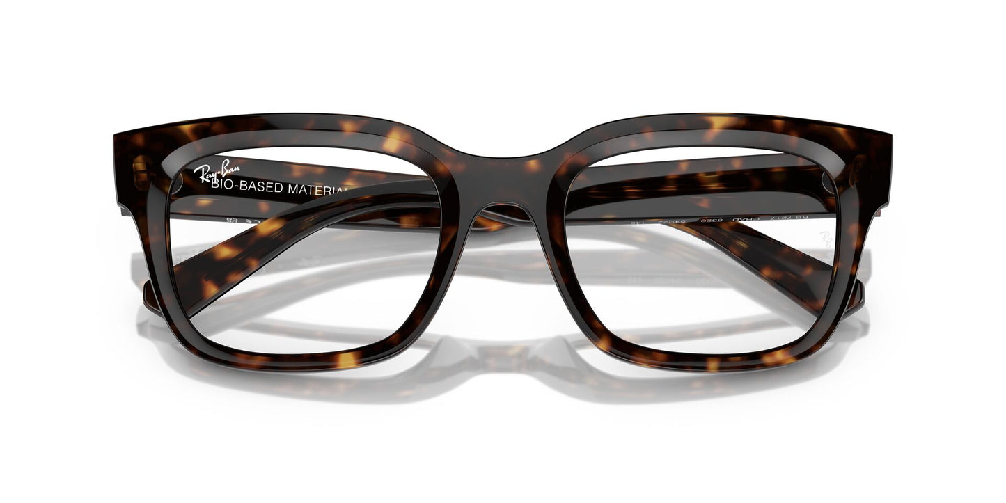Ray-Ban Chad RB7217