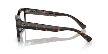 Ray-Ban Chad RB7217