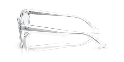 Ray-Ban Chad RB7217