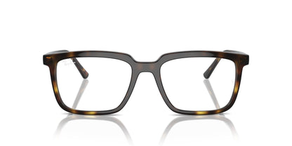 Ray-Ban Alain RB7239