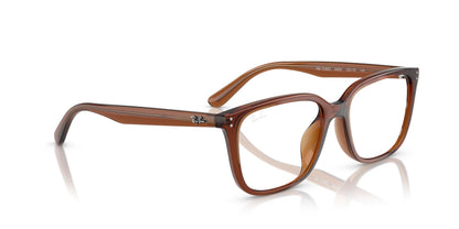 Ray-Ban RB7248D