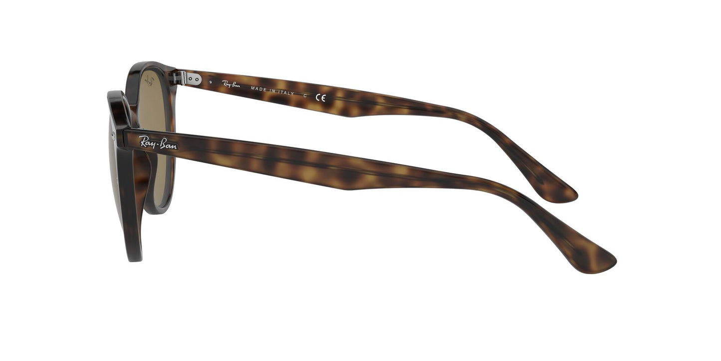 Ray-Ban RB4305