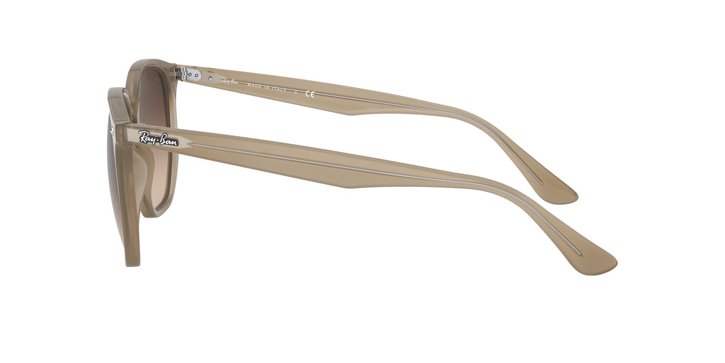 Ray-Ban RB4306