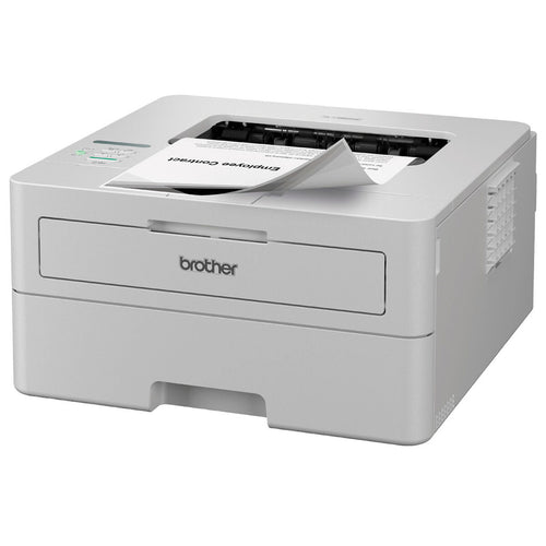 Laserdrucker Brother HLL2865DWRE1