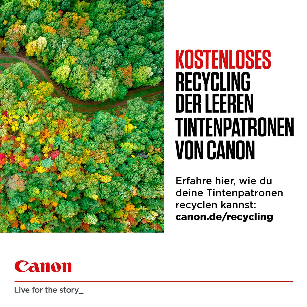 Original Tintenpatrone Canon 2078C008