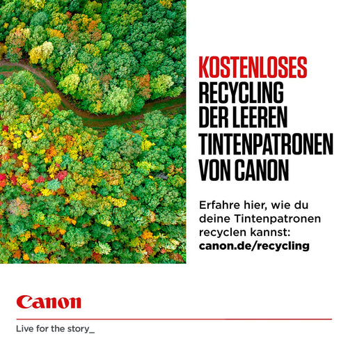 Original Tintenpatrone Canon 2078C008