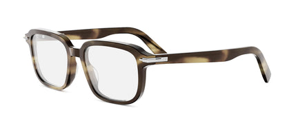 #colour_brown-horn