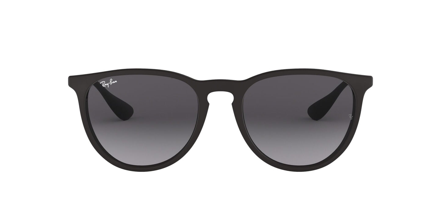 Ray-Ban Erika RB4171