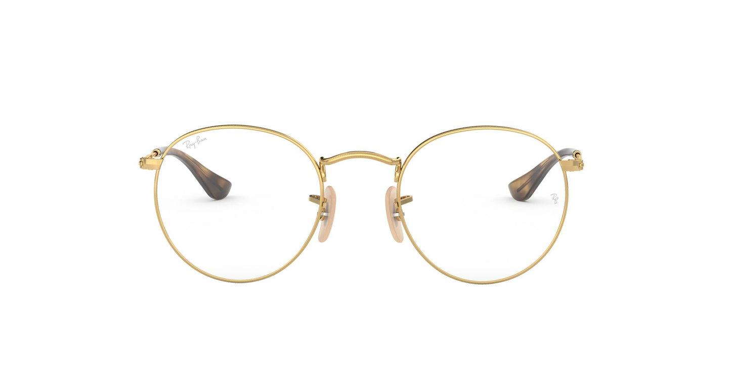 Ray-Ban RB3447V