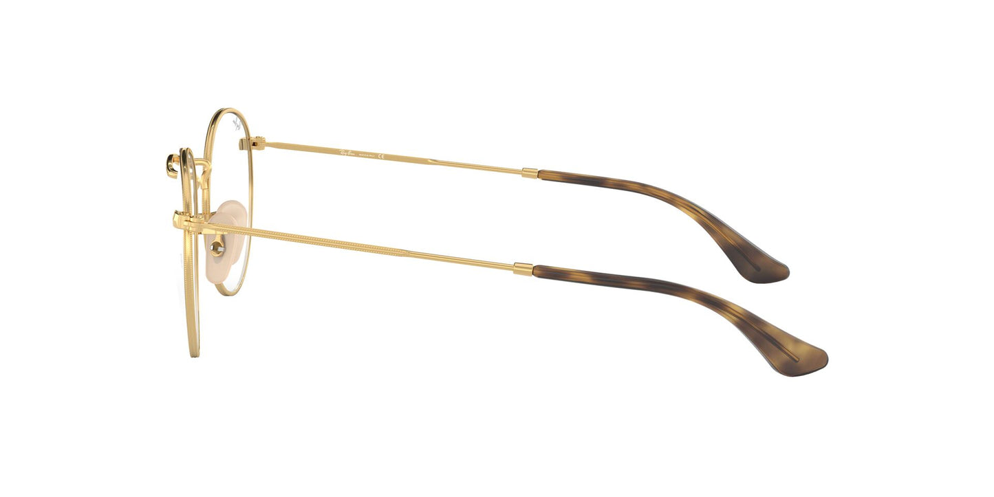 Ray-Ban RB3447V
