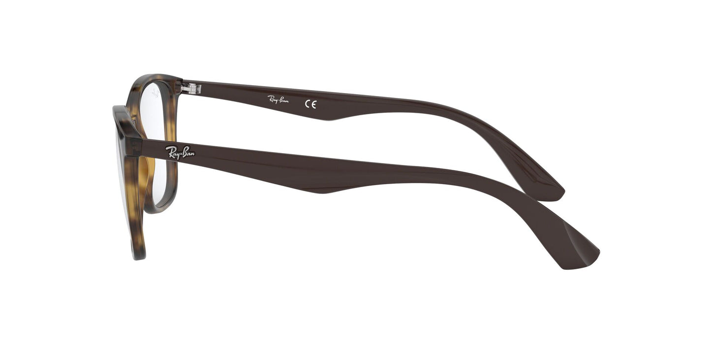 Ray-Ban RB7066