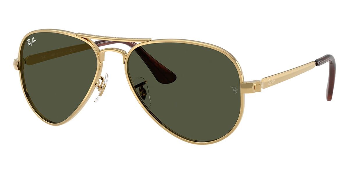 Ray-Ban Aviator Max RB3925