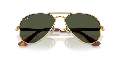 Ray-Ban Aviator Max RB3925