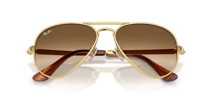 Ray-Ban Aviator Max RB3925