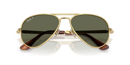 Ray-Ban Aviator Max RB3925
