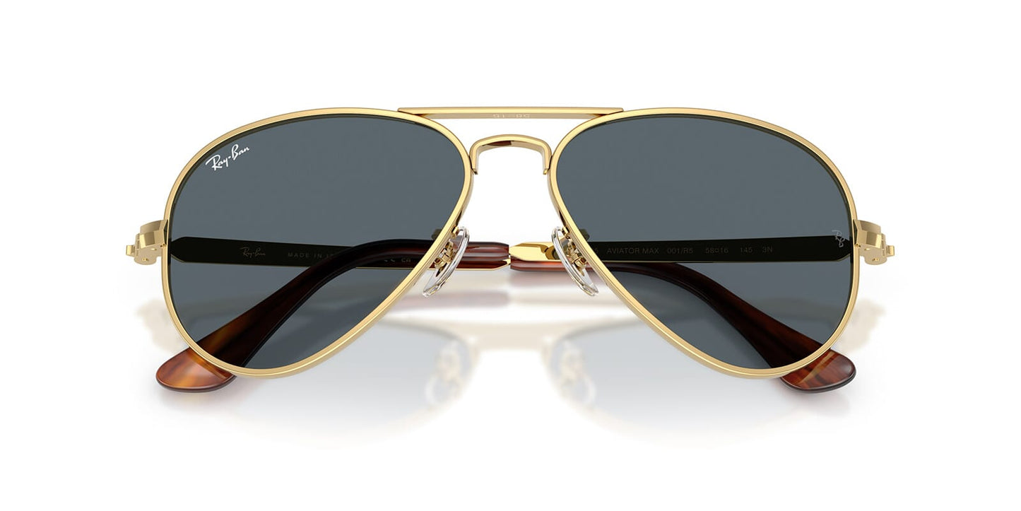 Ray-Ban Aviator Max RB3925