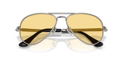 Ray-Ban Aviator Max RB3925