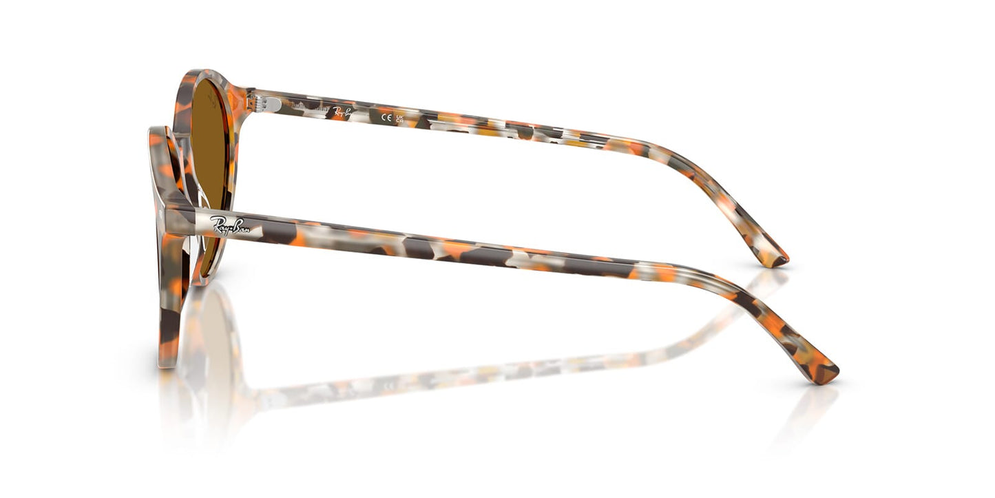 Ray-Ban Bernard RB2230