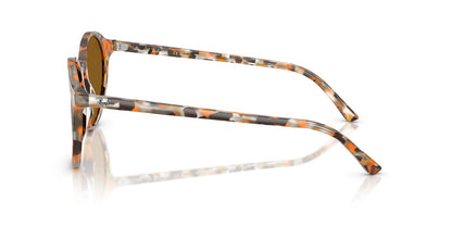 Ray-Ban Bernard RB2230