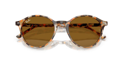Ray-Ban Bernard RB2230
