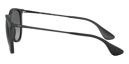 Ray-Ban Erika RB4171
